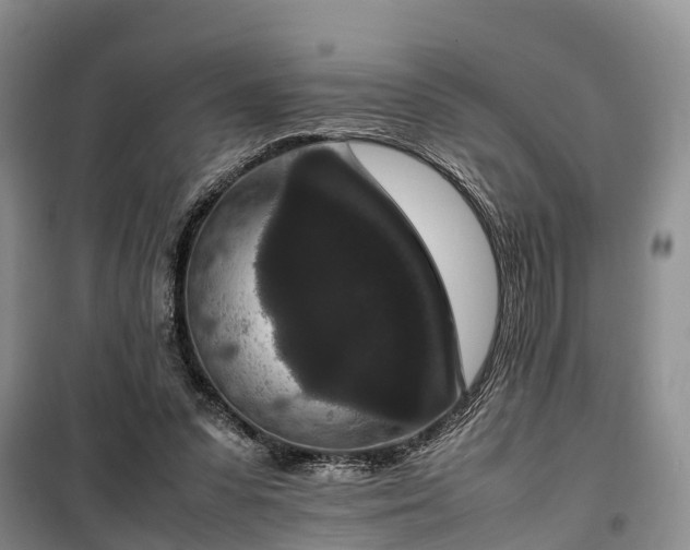 X0000100380303200806131105