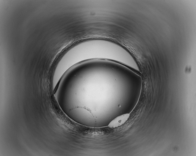 X0000100380304200806131105