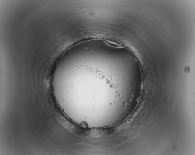 X0000100380305200806131105