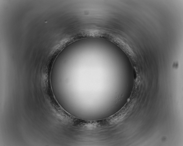 X0000100380306200806131105