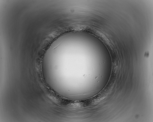 X0000100380307200806131105