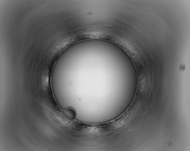 X0000100380310200806131105