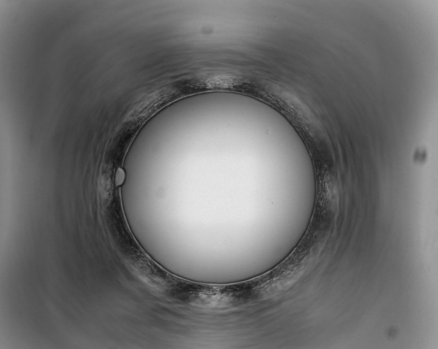 X0000100380311200806131105