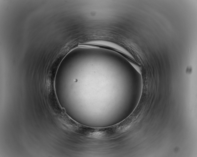 X0000100380312200806131105
