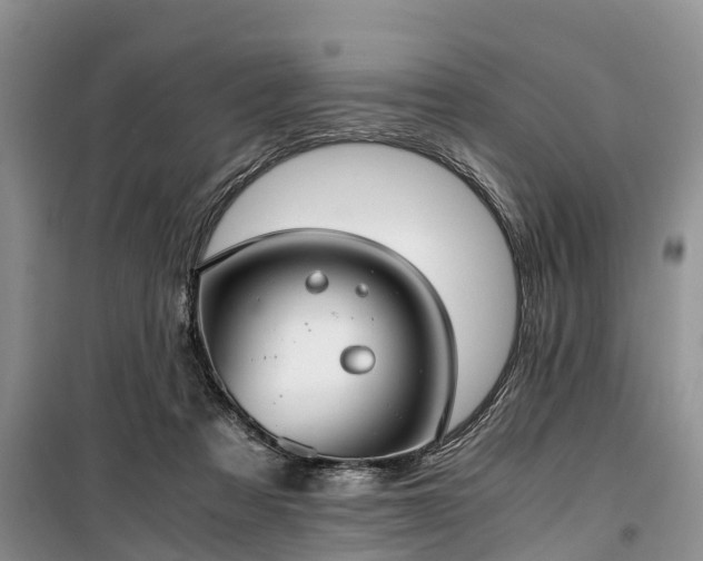 X0000100380313200806131105