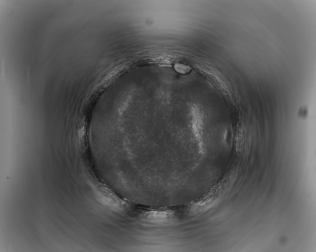 X0000100380314200806131105