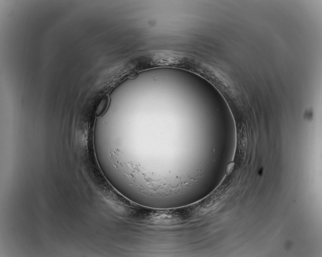 X0000100380315200806131105