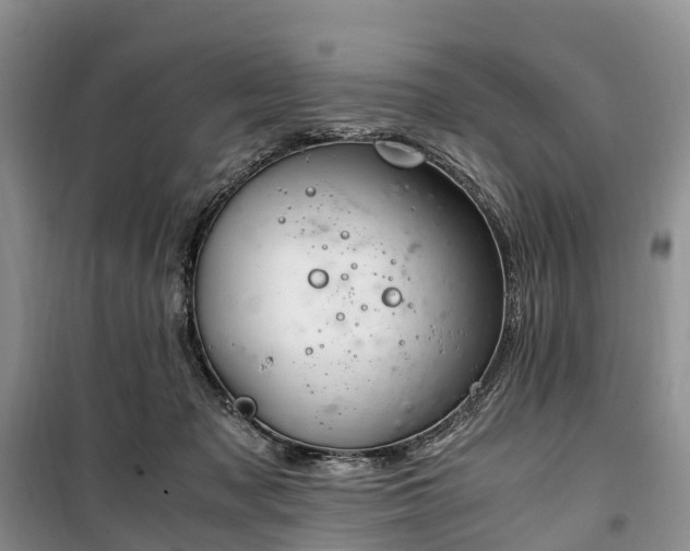 X0000100380317200806131105