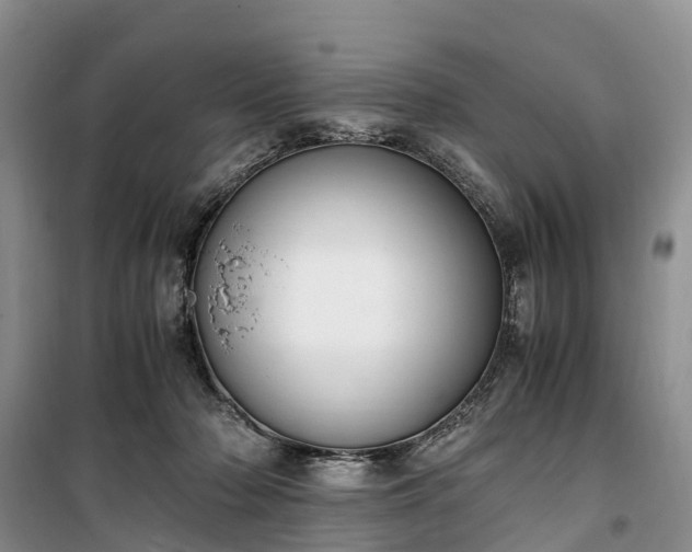 X0000100380318200806131105
