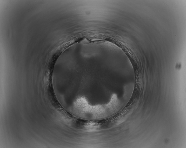 X0000100380319200806131105