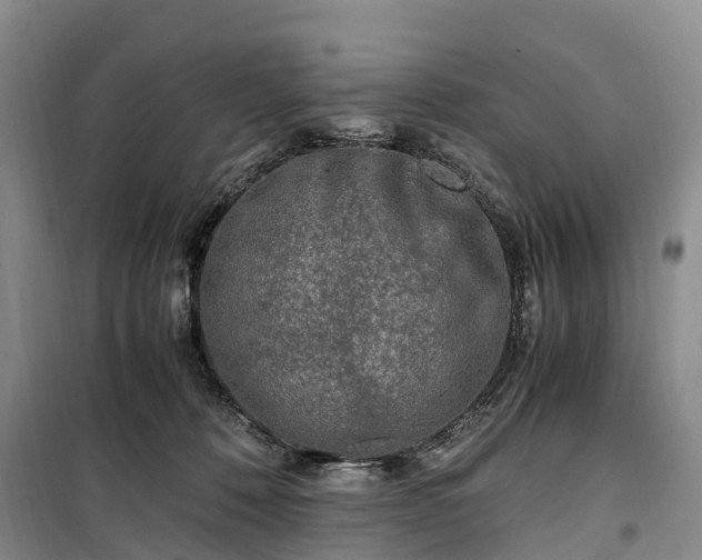 X0000100380320200806131105
