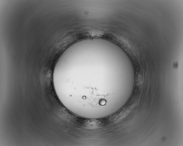 X0000100380321200806131105