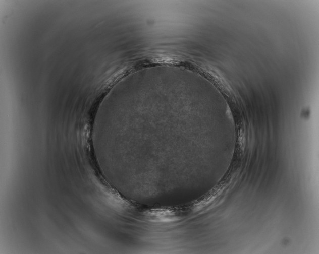 X0000100380322200806131105