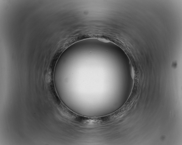 X0000100380323200806131105