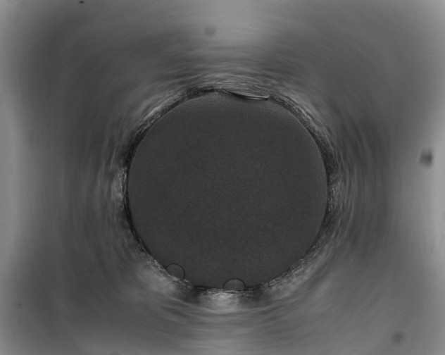 X0000100380325200806131105