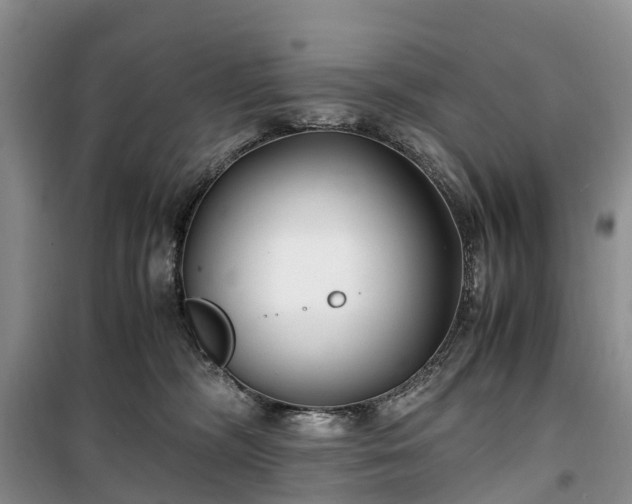X0000100380326200806131105
