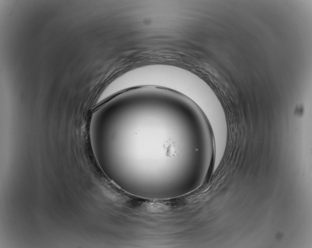 X0000100380327200806131105