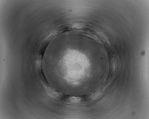 X0000100380328200806131105