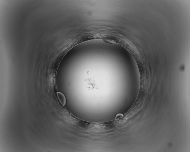 X0000100380329200806131105