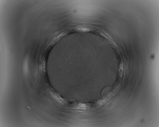 X0000100380330200806131105