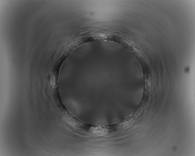 X0000100380331200806131105