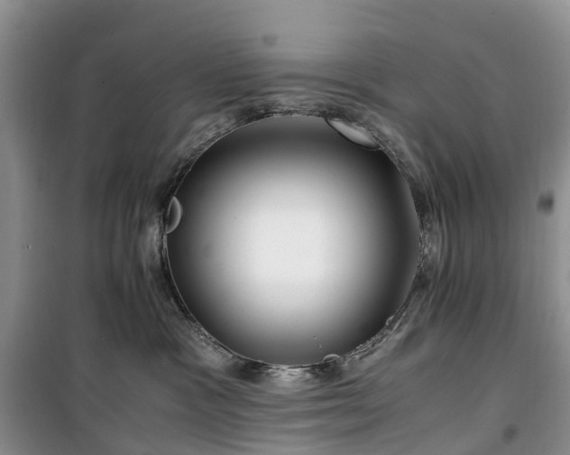 X0000100380333200806131105