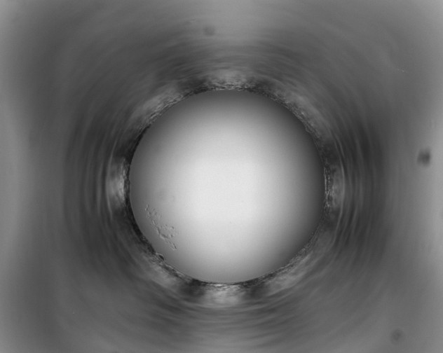 X0000100380334200806131105
