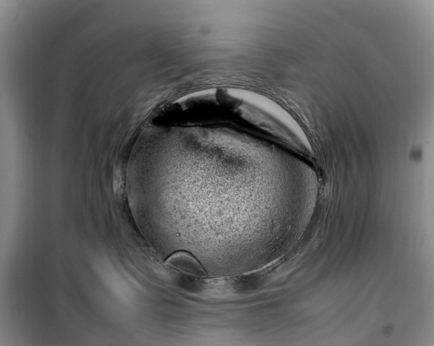 X0000100380335200806131105