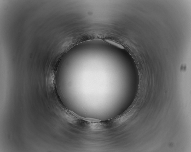 X0000100380336200806131105