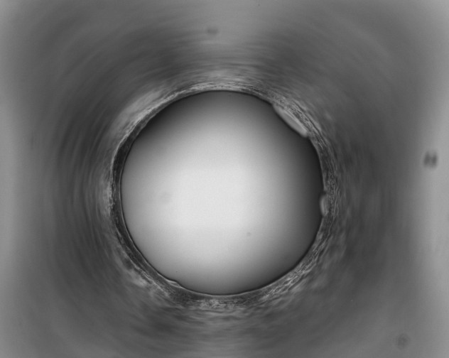 X0000100380338200806131104