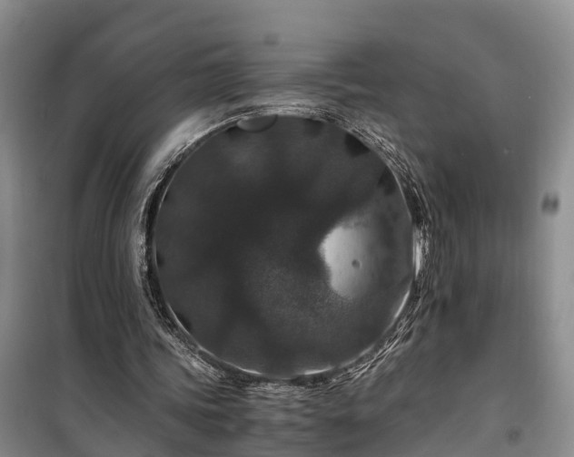 X0000100380339200806131104