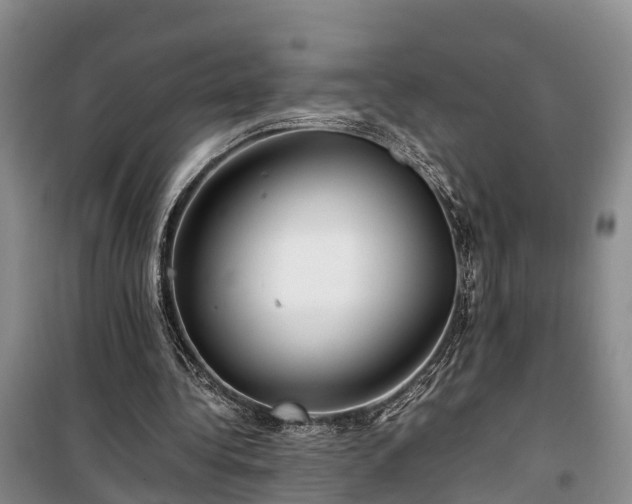 X0000100380340200806131104