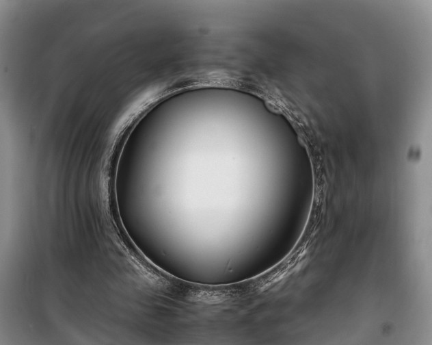 X0000100380341200806131104