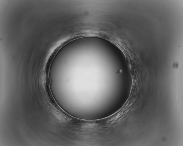X0000100380342200806131104