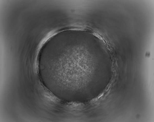 X0000100380343200806131104