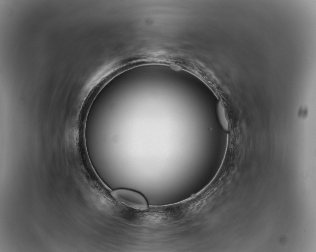 X0000100380344200806131104
