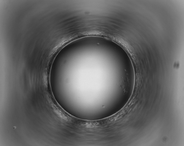X0000100380345200806131104