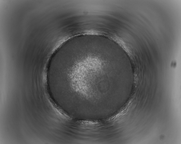 X0000100380347200806131105