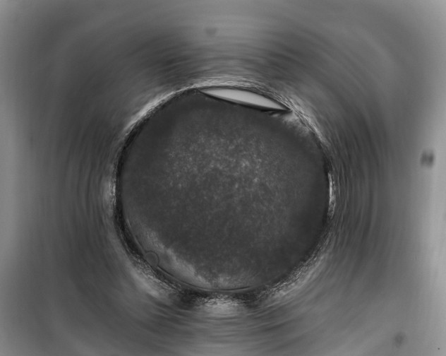 X0000100380348200806131105