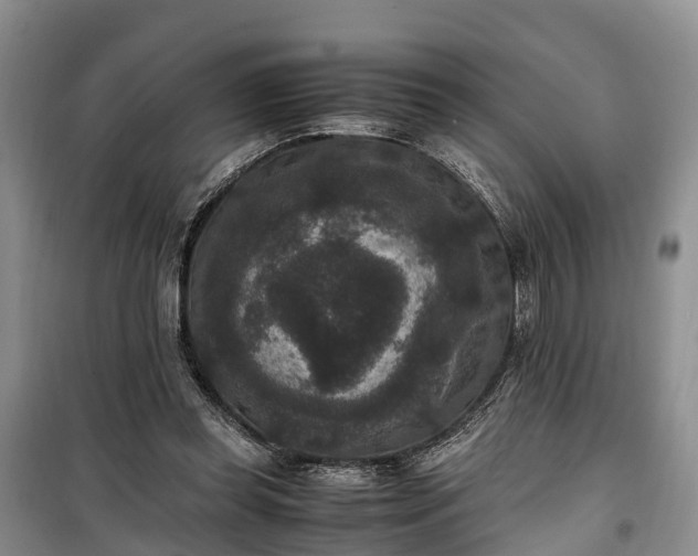 X0000100380349200806131105