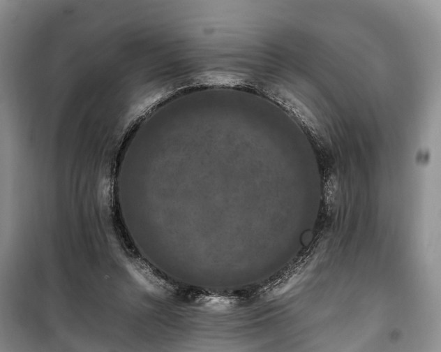X0000100380352200806131105