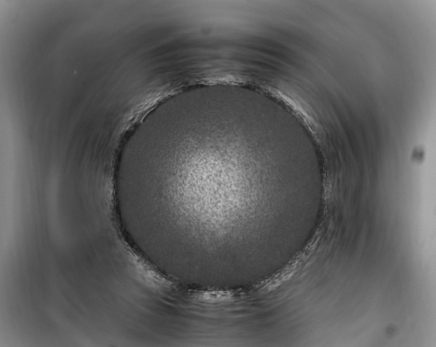 X0000100380353200806131105