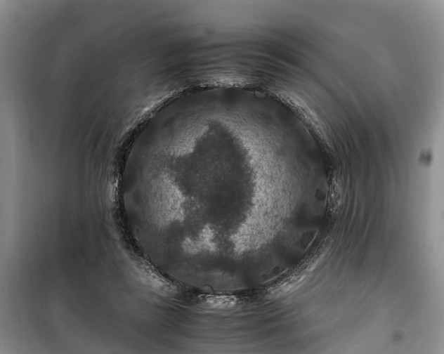 X0000100380355200806131105