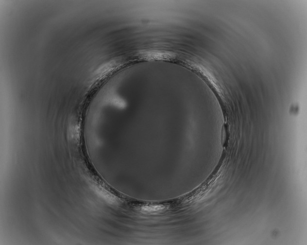 X0000100380357200806131105