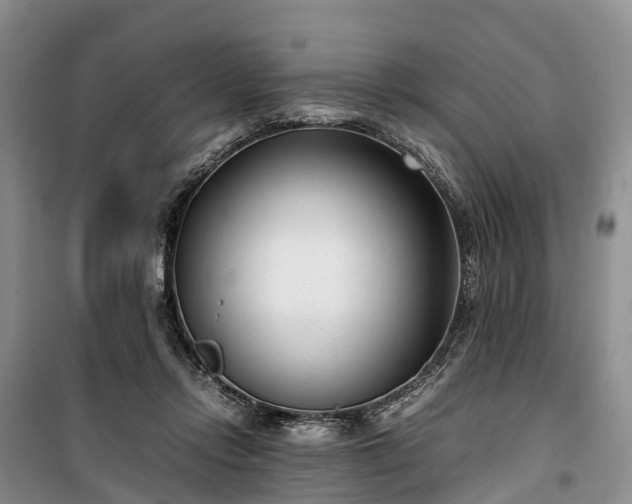 X0000100380358200806131105