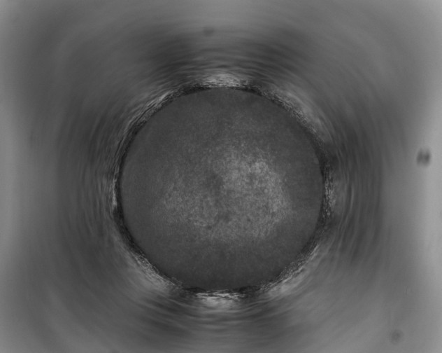 X0000100380359200806131105