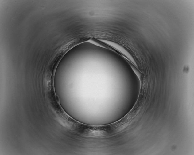 X0000100380360200806131105