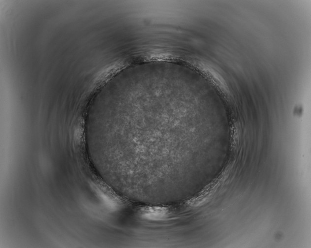 X0000100380361200806131105