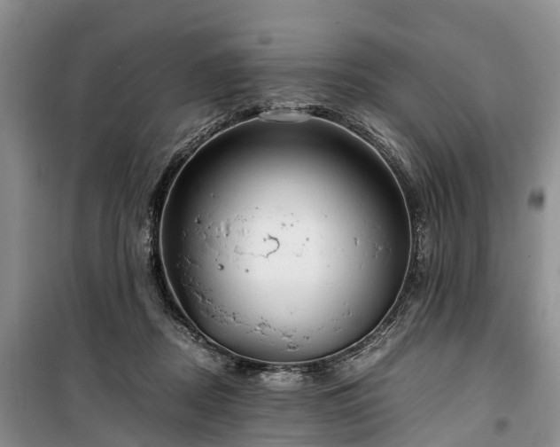 X0000100380362200806131105