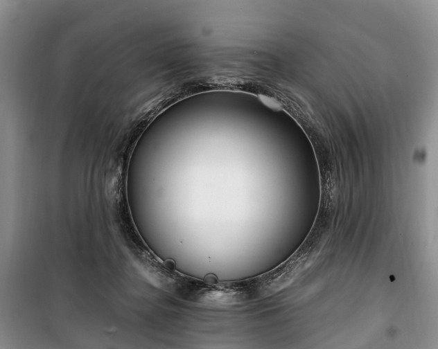 X0000100380364200806131105